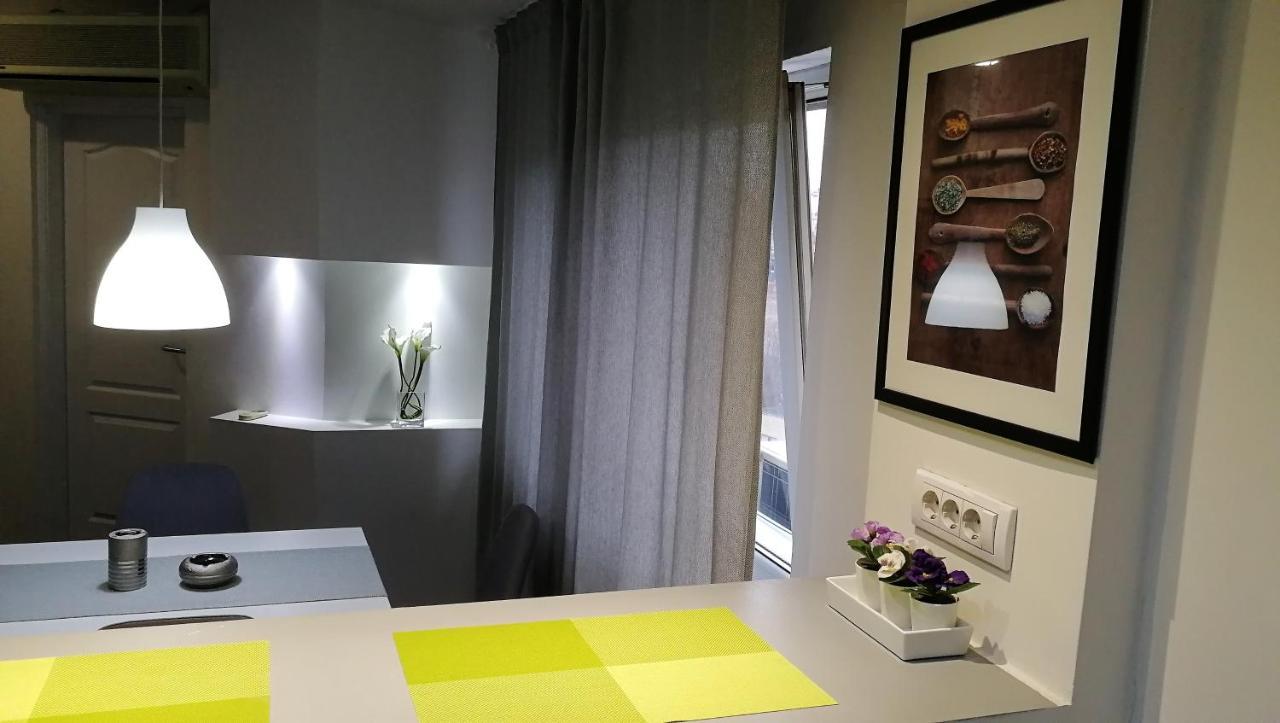 Mansarda Apartment 贝尔格莱德 外观 照片